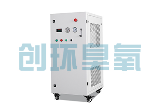 井陉石斑鱼养殖水质调控完整指南:臭氧发生器配置与操作步骤