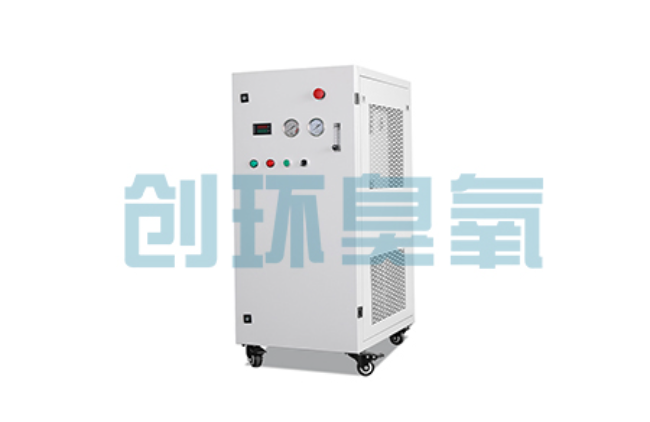 井陉比传统换水更高效?臭氧发生器在石斑鱼养殖中的水质净化原理解析