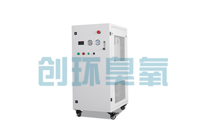井陉比传统换水更高效？臭氧发生器在石斑鱼养殖中的水质净化原理解析
